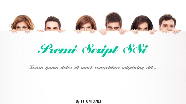 Premi Script SSi example